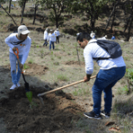 boehringer ingelheim mexico