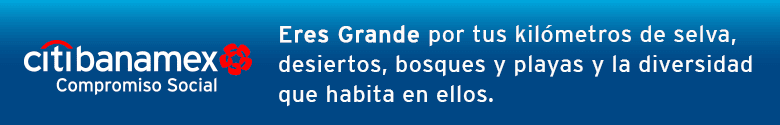 banner portada
